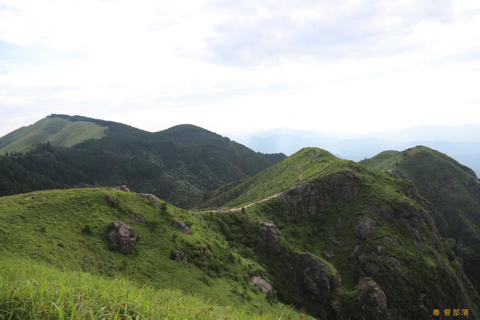 微信图片_20250611105451