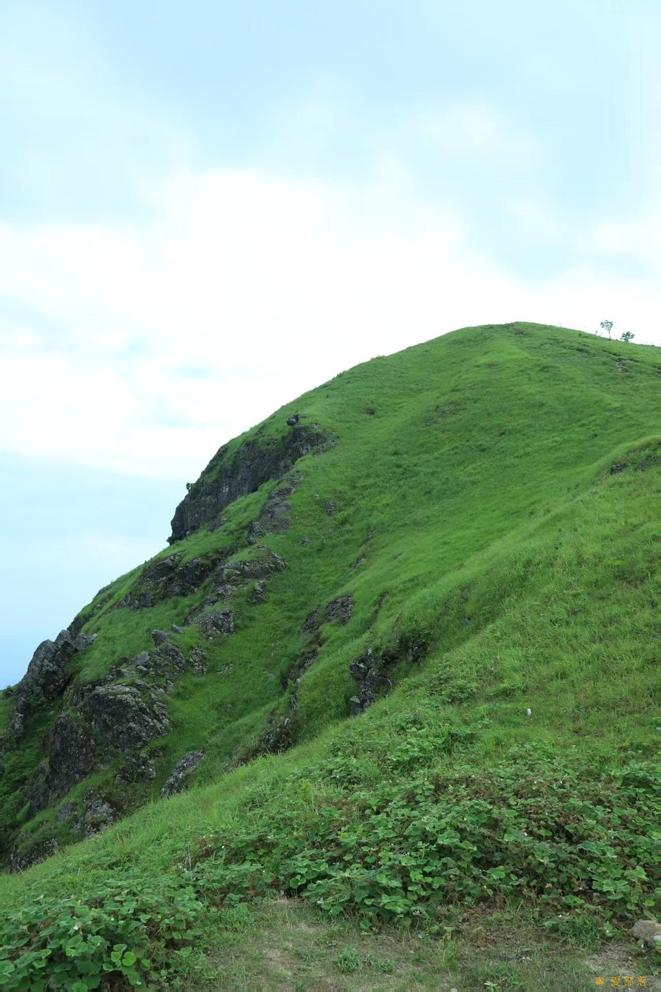 微信图片_20250611105452