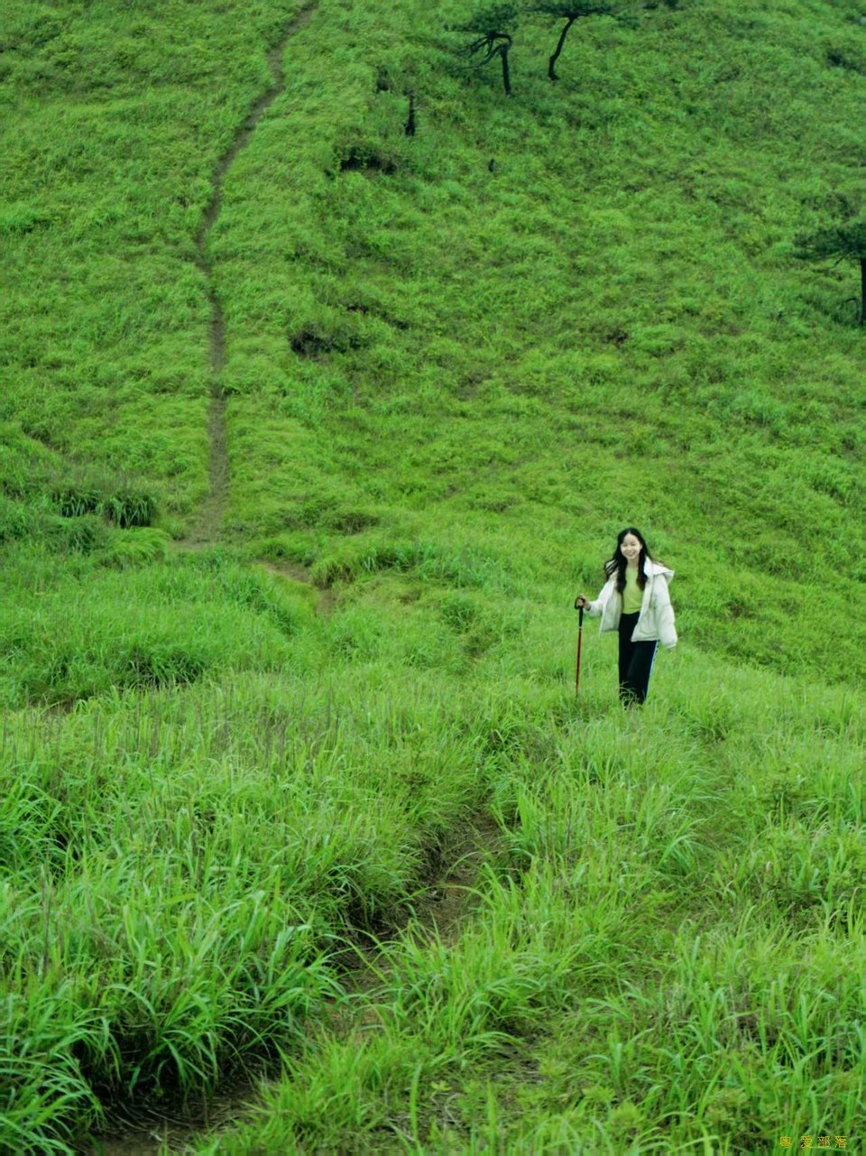 微信图片_20250611105820