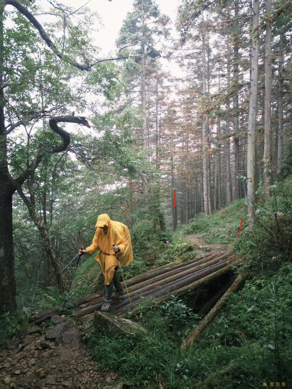 微信图片_20250611105827