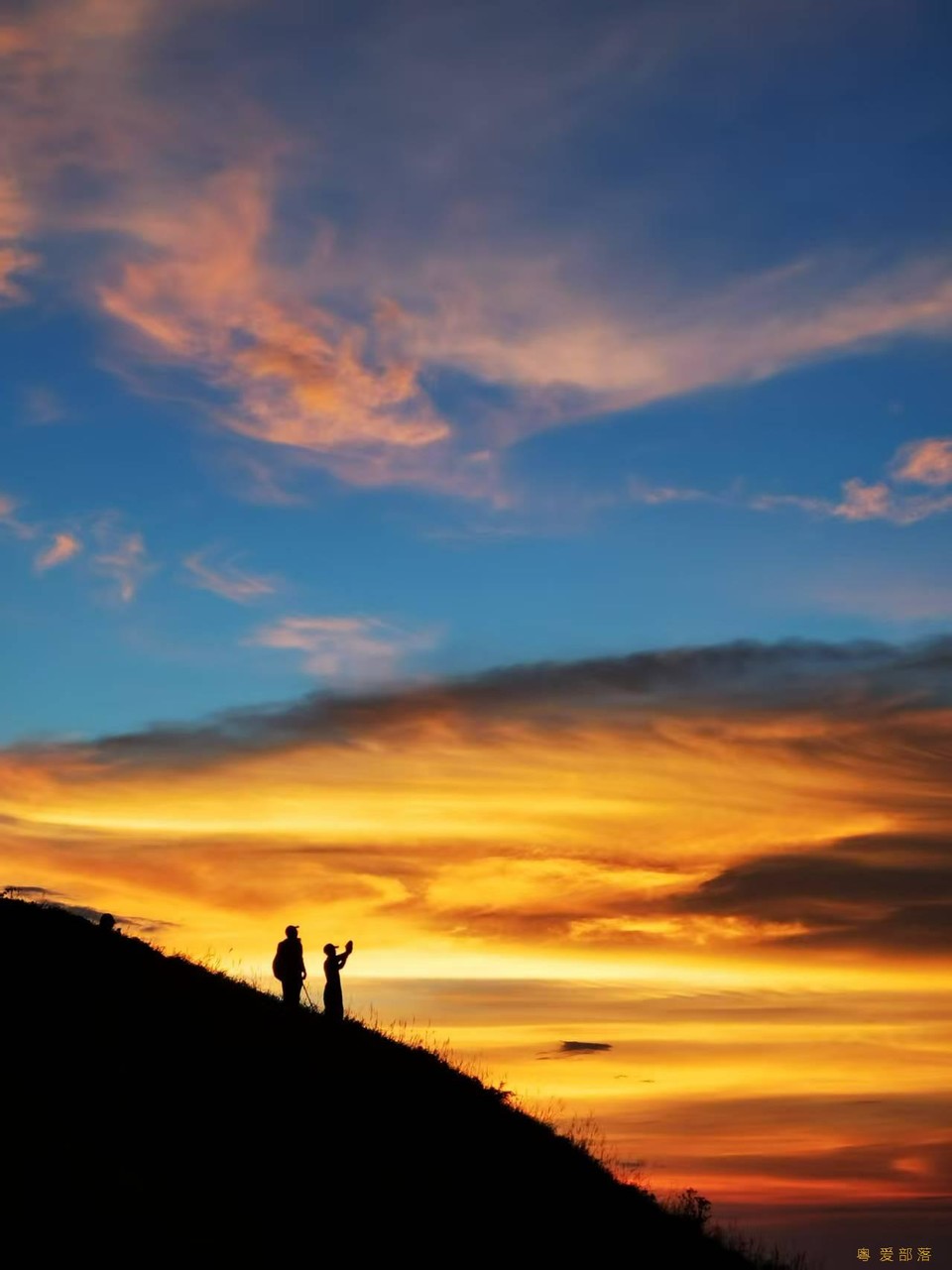 微信图片_20250611105830