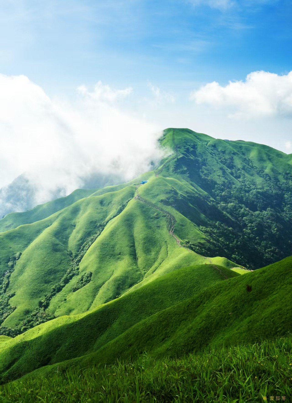 微信图片_20250611105833