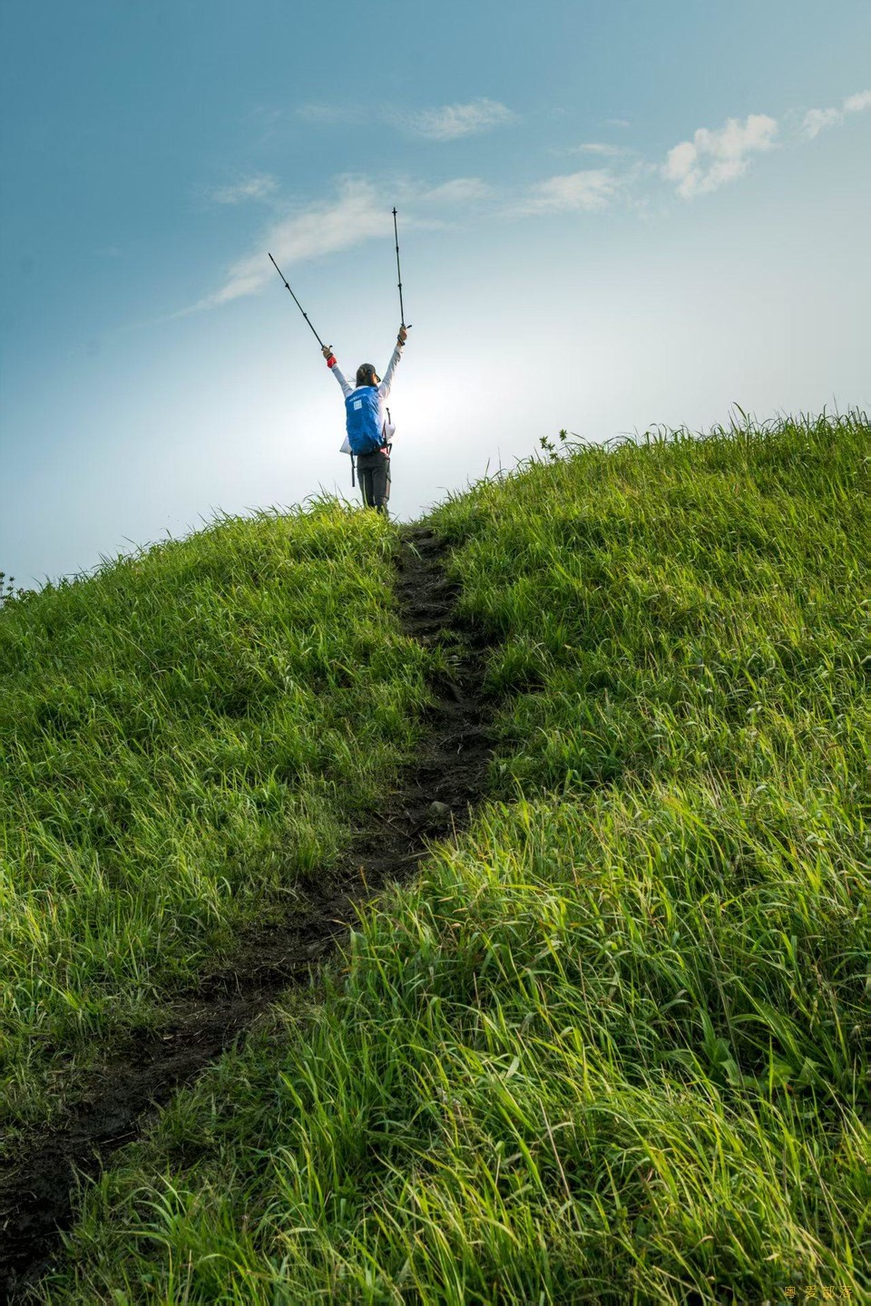 微信图片_20250611105834