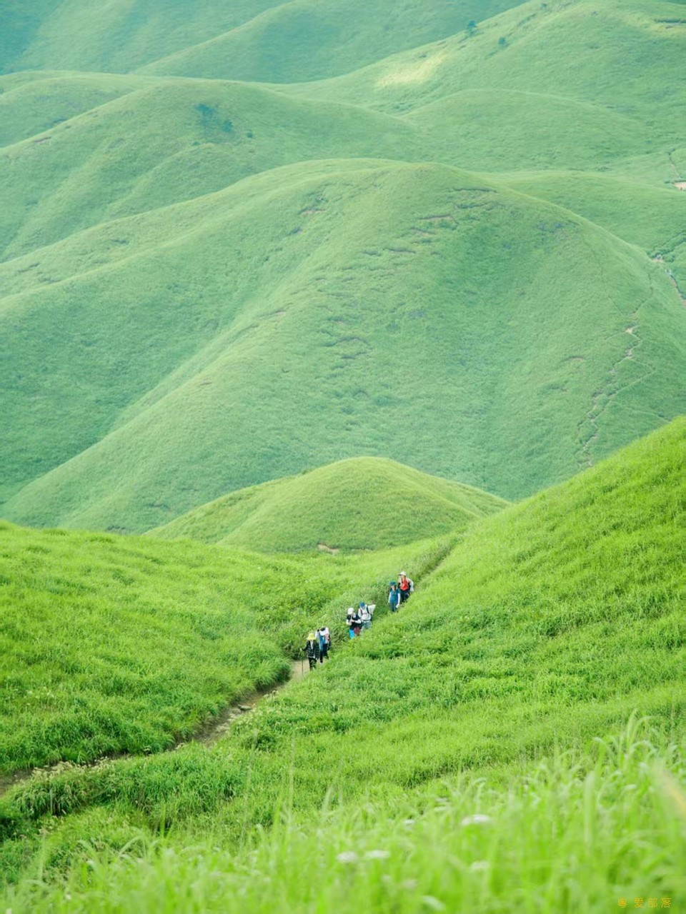 微信图片_20250611105835