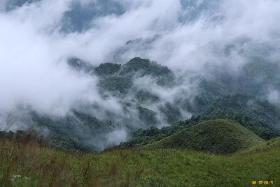 微信图片_202506111049181