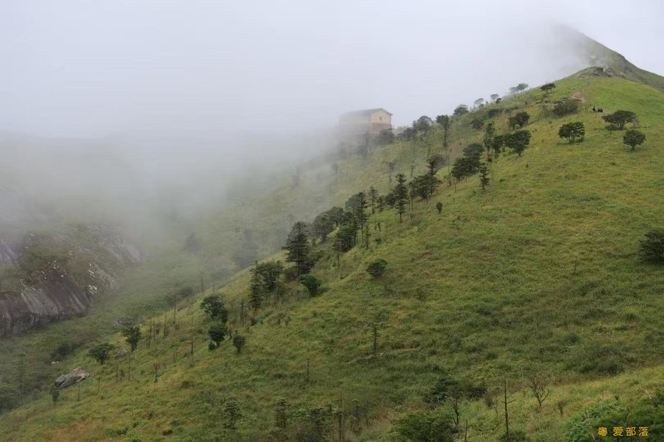 微信图片_202506111049221