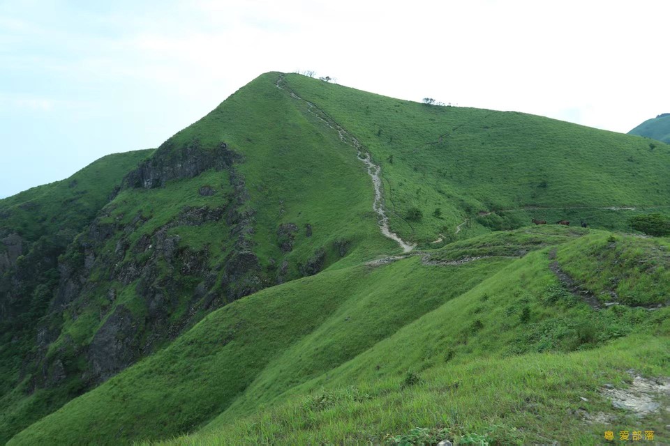 微信图片_202506111054361