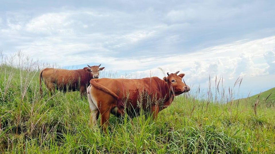 微信图片_202506111058291