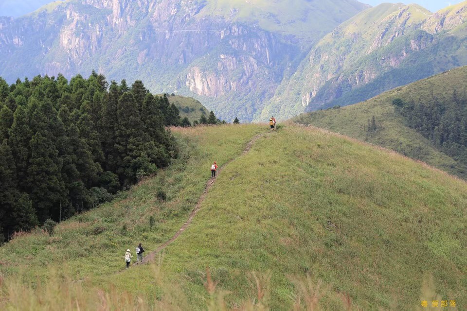 微信图片_202506111058322