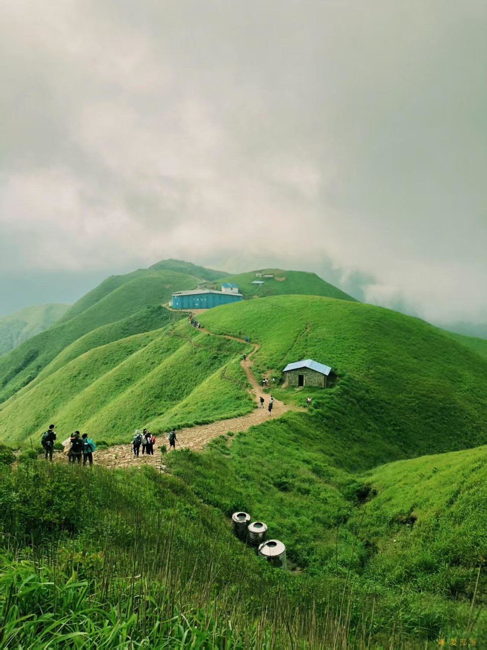 微信图片_202506111058341