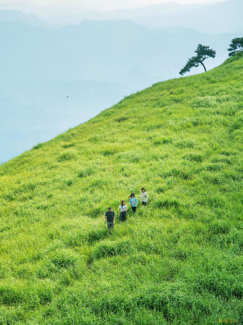 微信图片_202506111058342