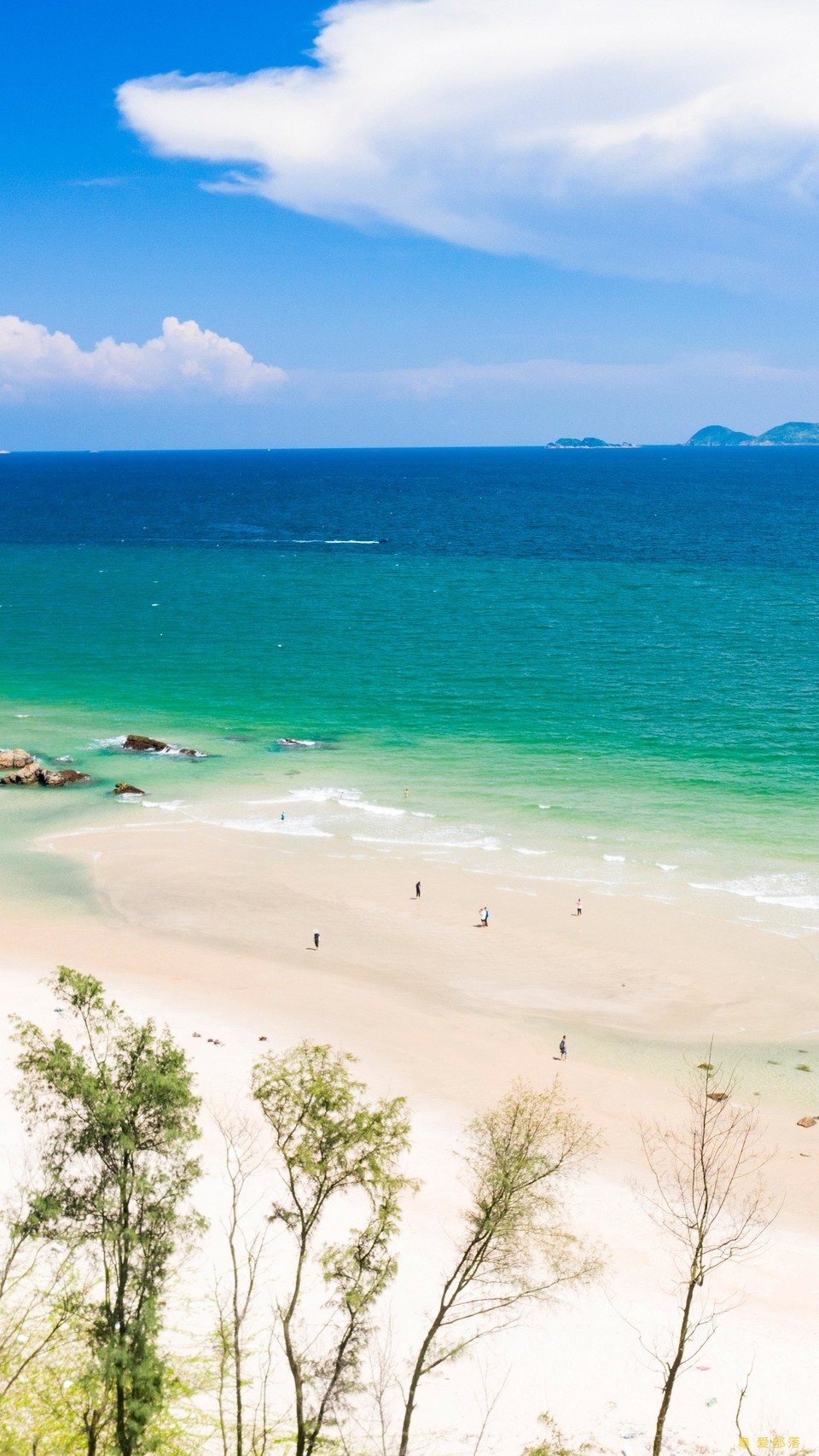 微信图片_20250818144454_620