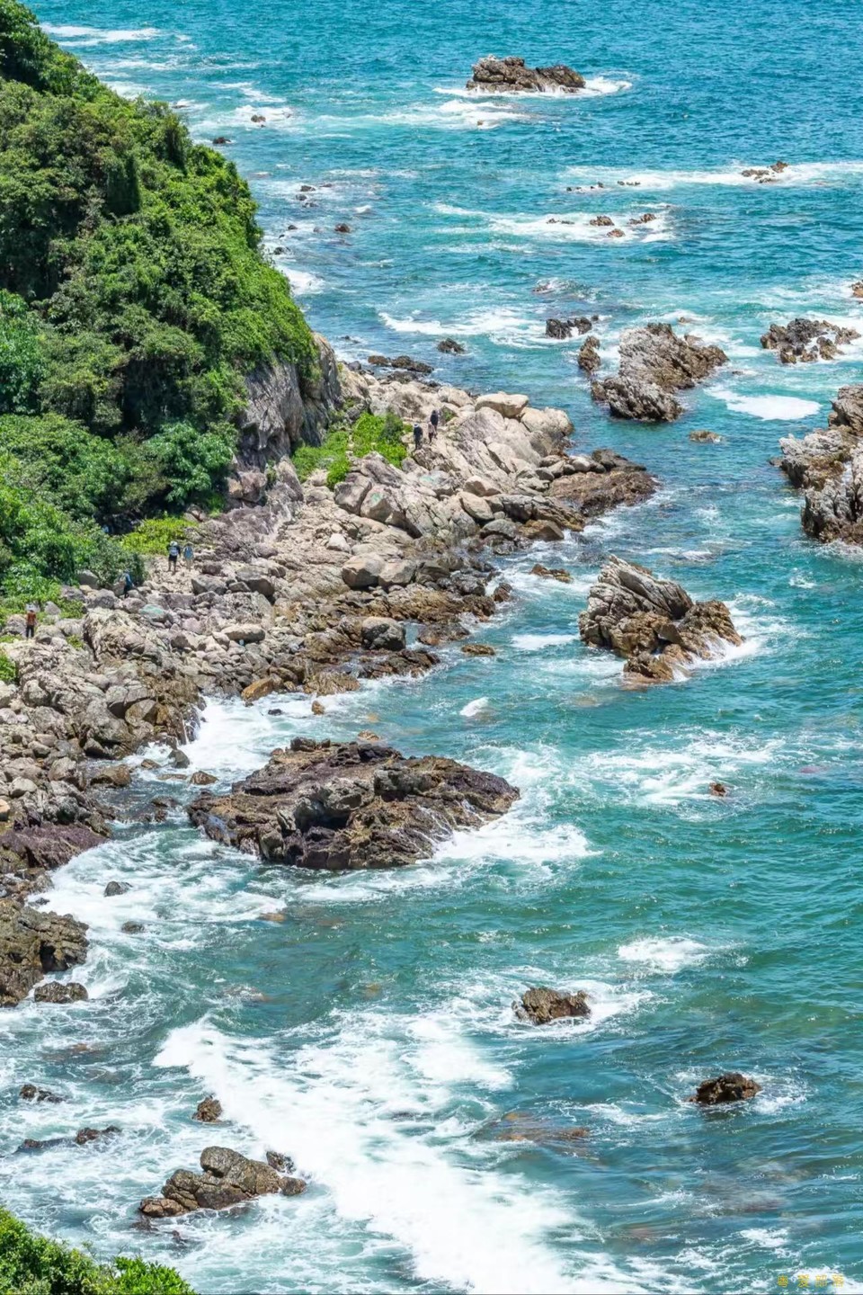 13876ee185187fa42b7ad32770a4ef4f