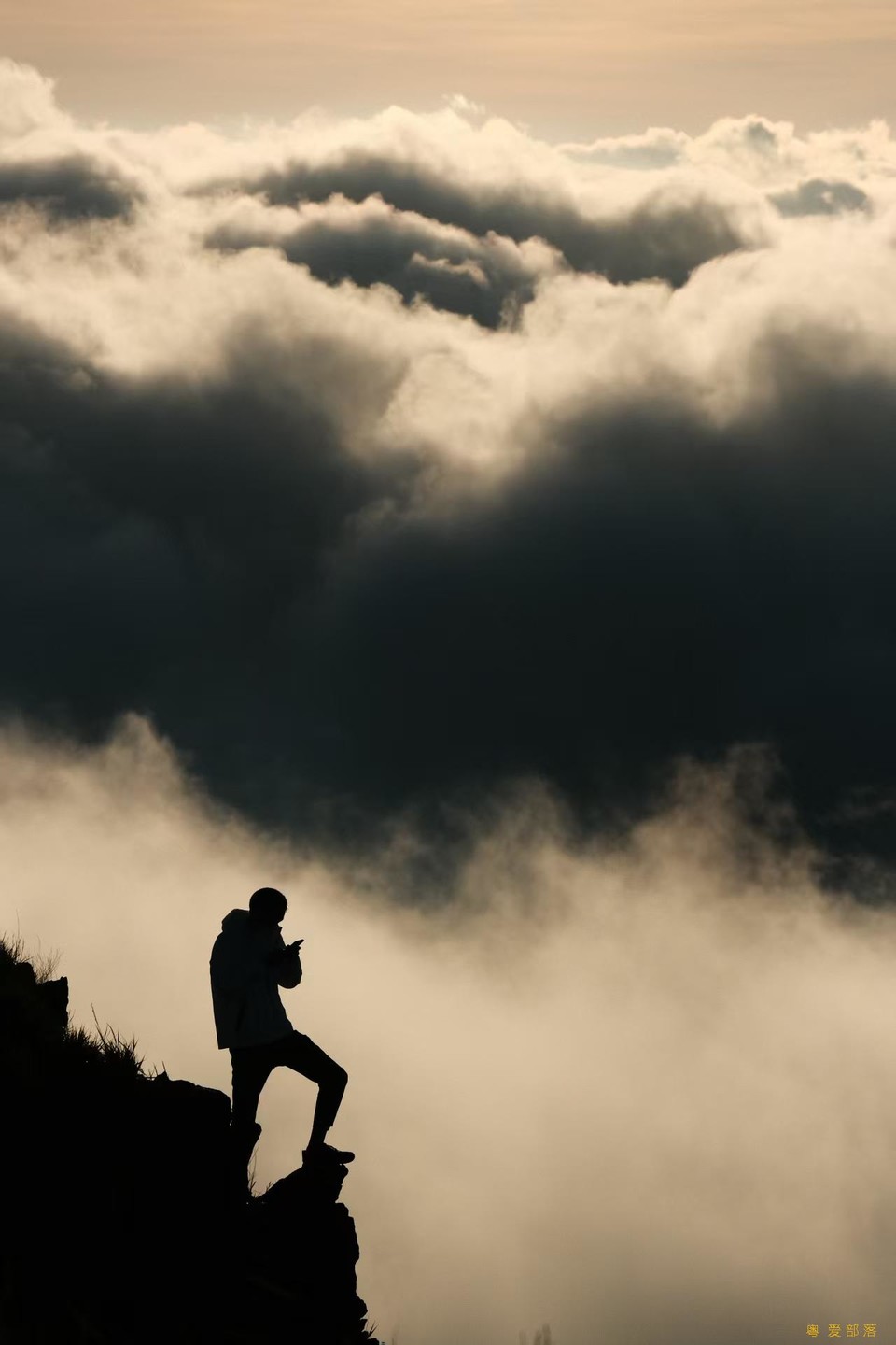 微信图片_20250903152243_850_396