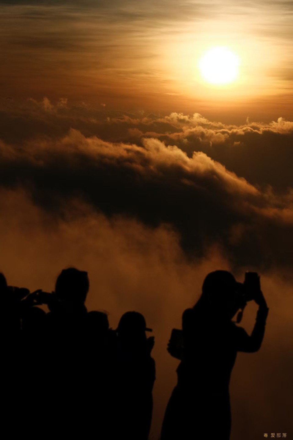 微信图片_20250903152245_852_396