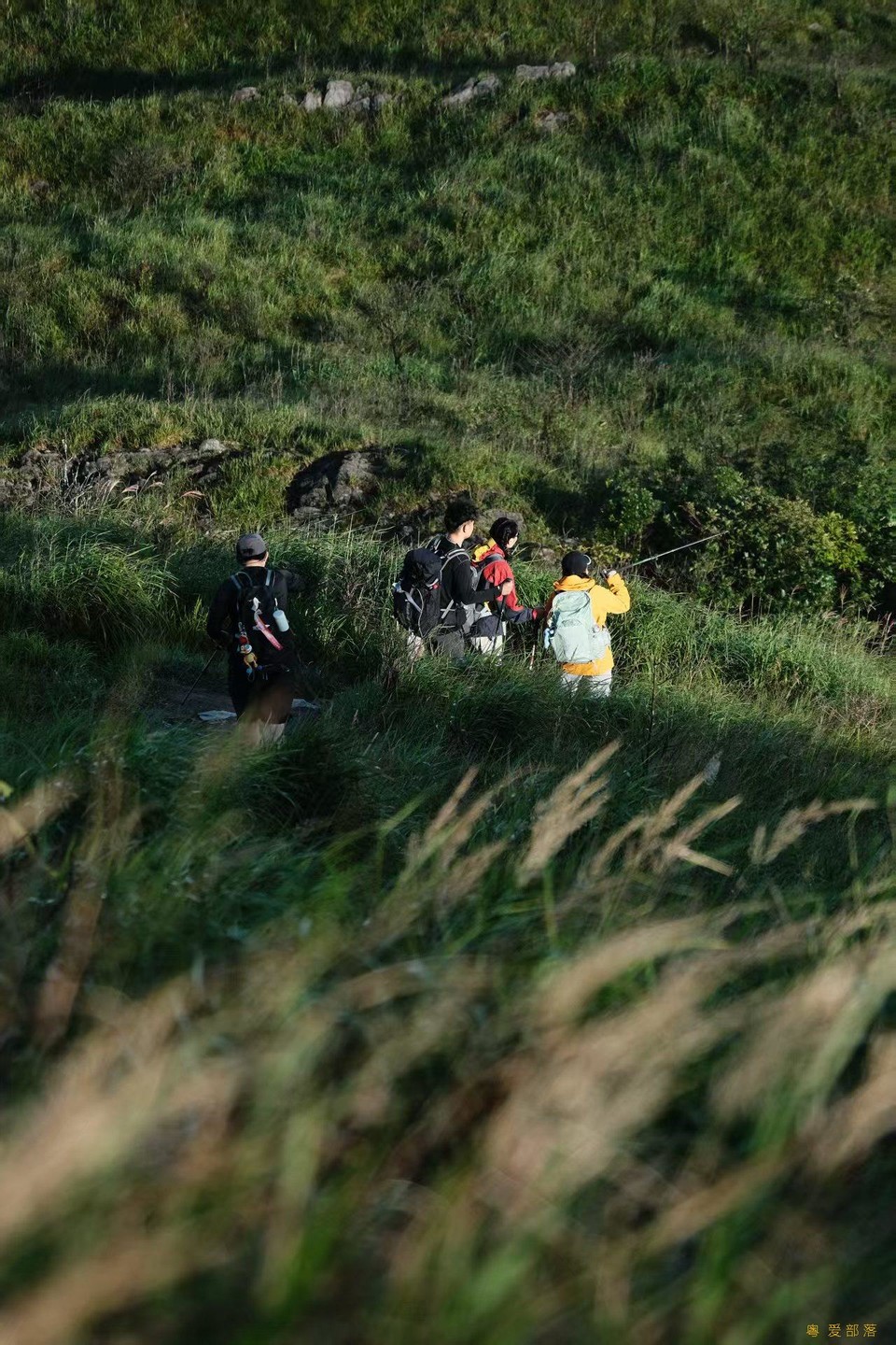 微信图片_20250903152246_853_396