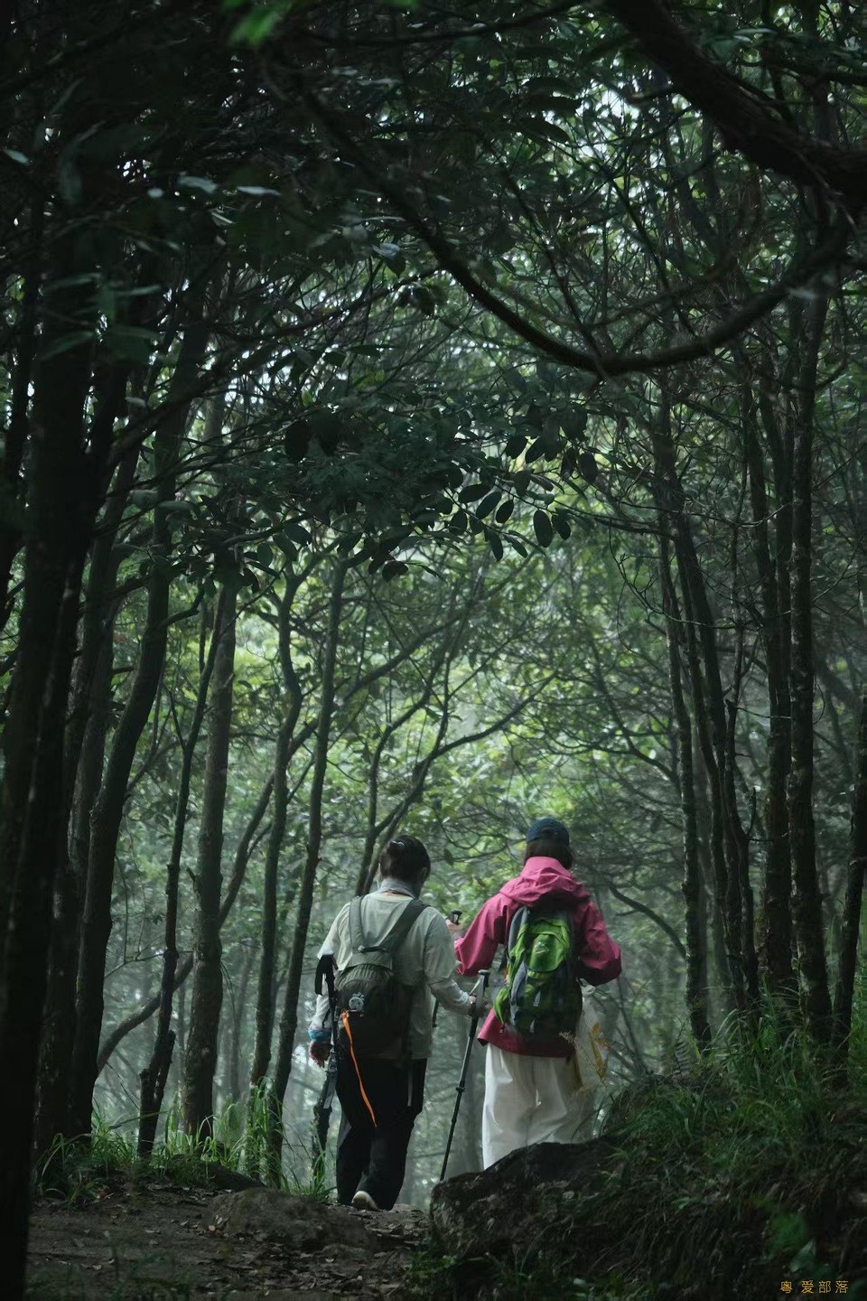 微信图片_20250903152247_855_396