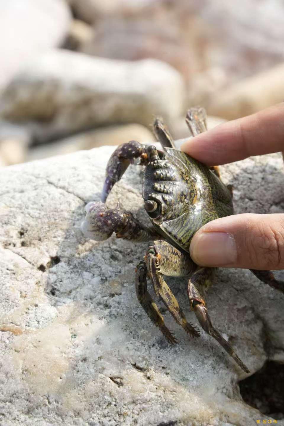 微信图片_20251211145418_2161_396