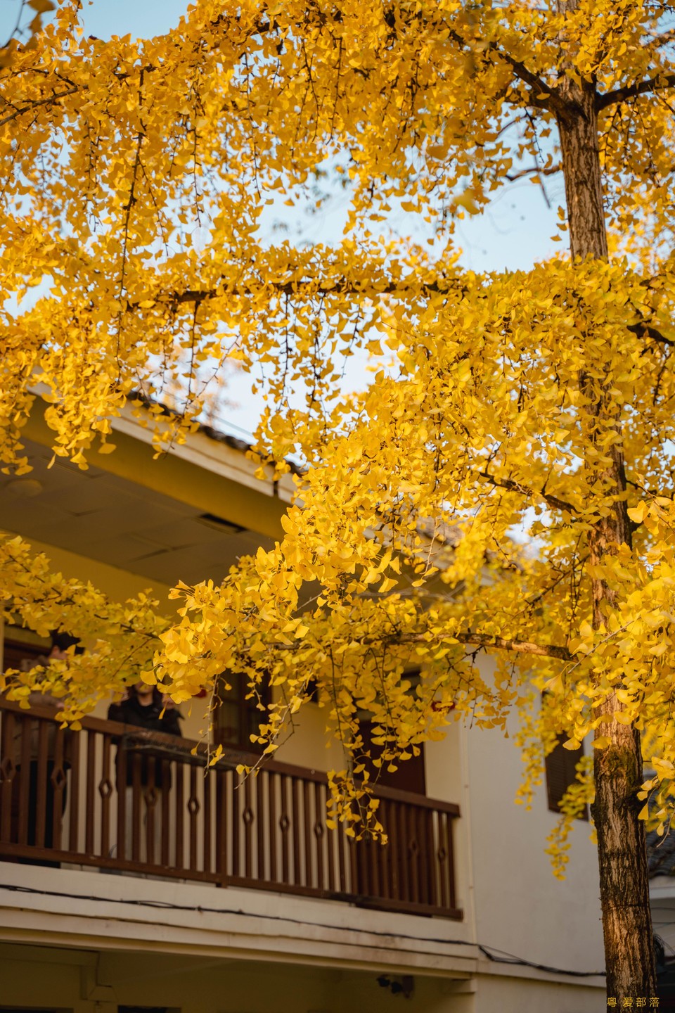 微信图片_20251211150303_2164_396