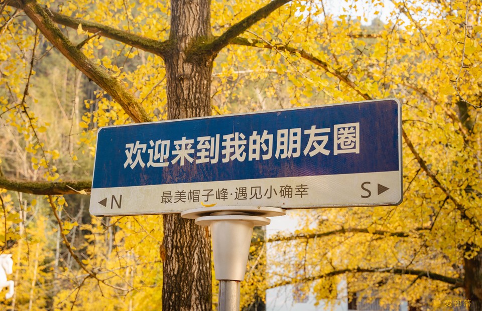 微信图片_20251211150304_2165_396