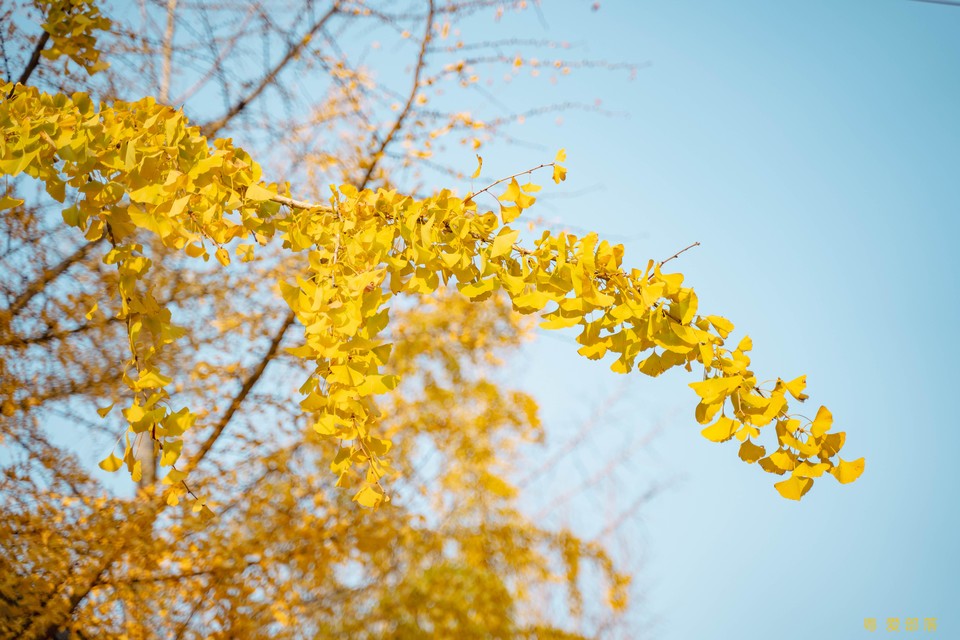 微信图片_20251211150305_2166_396