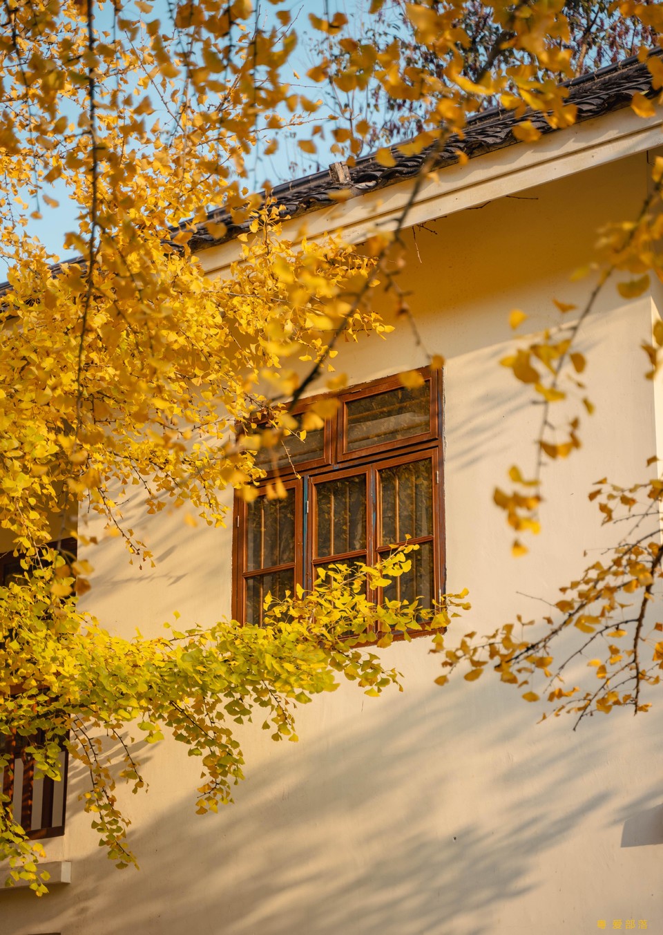 微信图片_20251211150307_2167_396