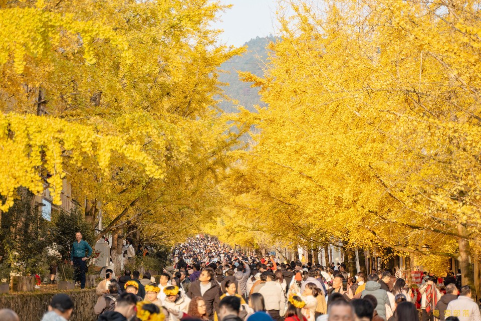 微信图片_20251211150309_2169_396