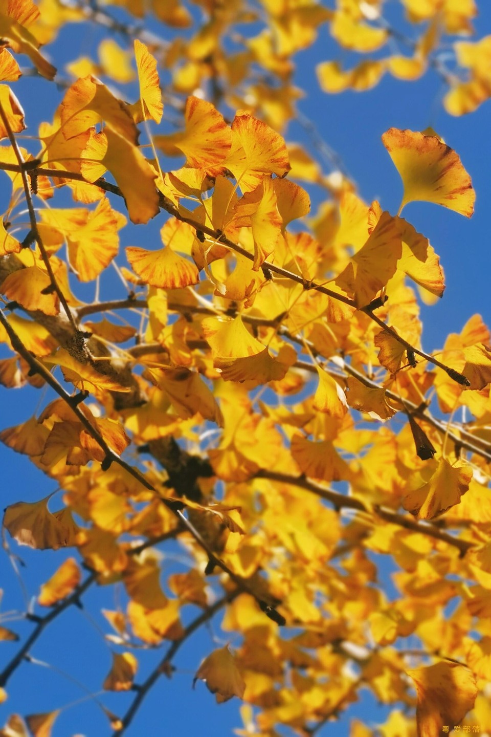 微信图片_20251211150313_2172_396