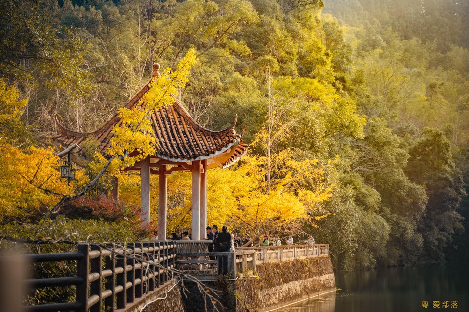 微信图片_20251211150311_2170_396