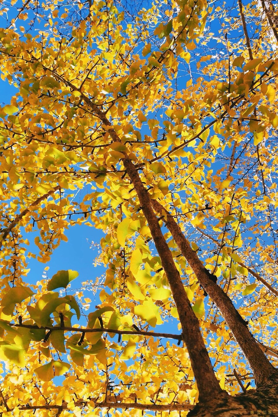 微信图片_20251211150314_2173_396