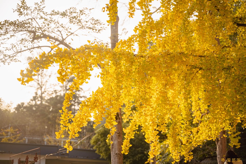 微信图片_20251211150308_2168_396