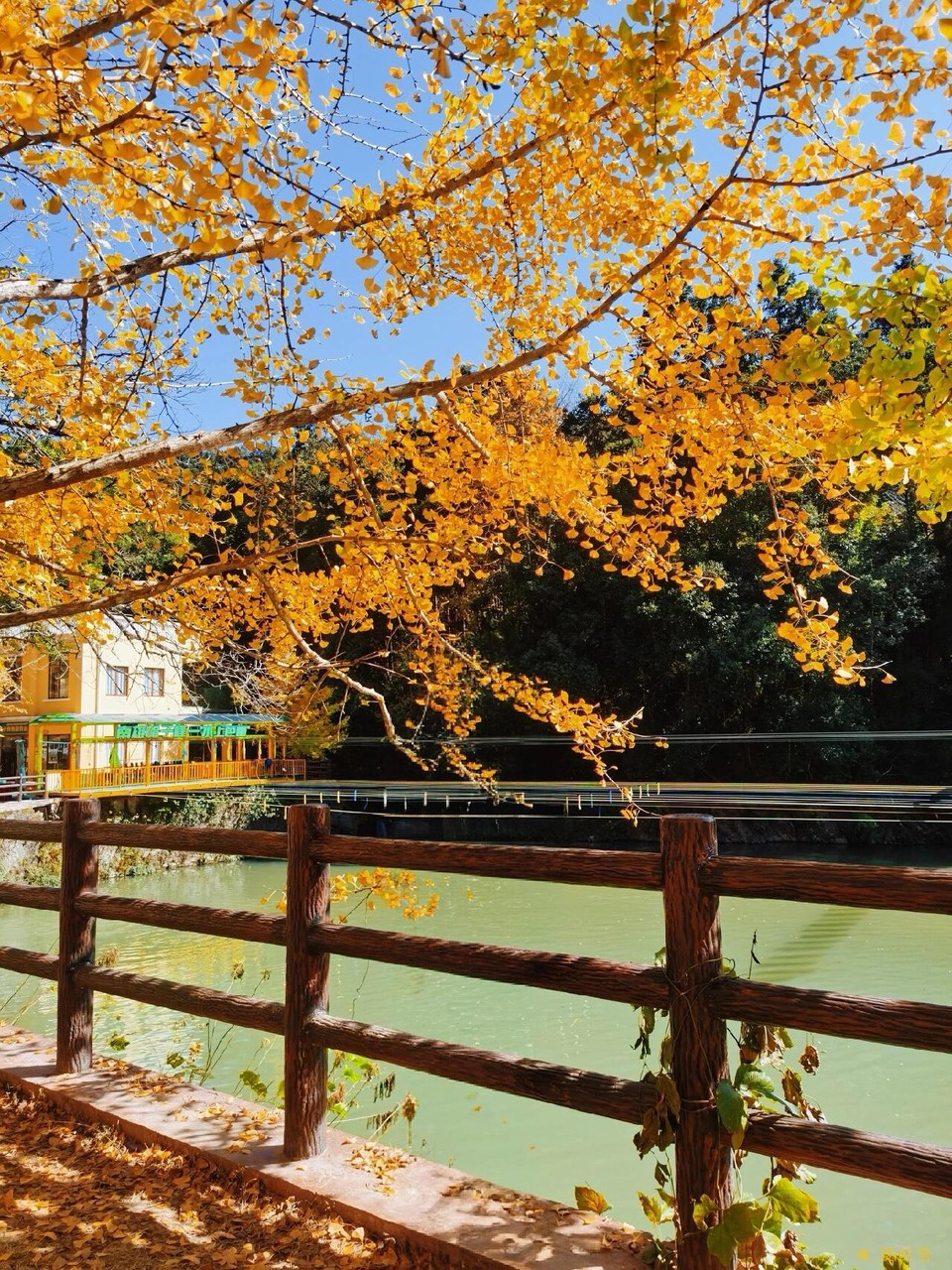 微信图片_20251211150312_2171_396