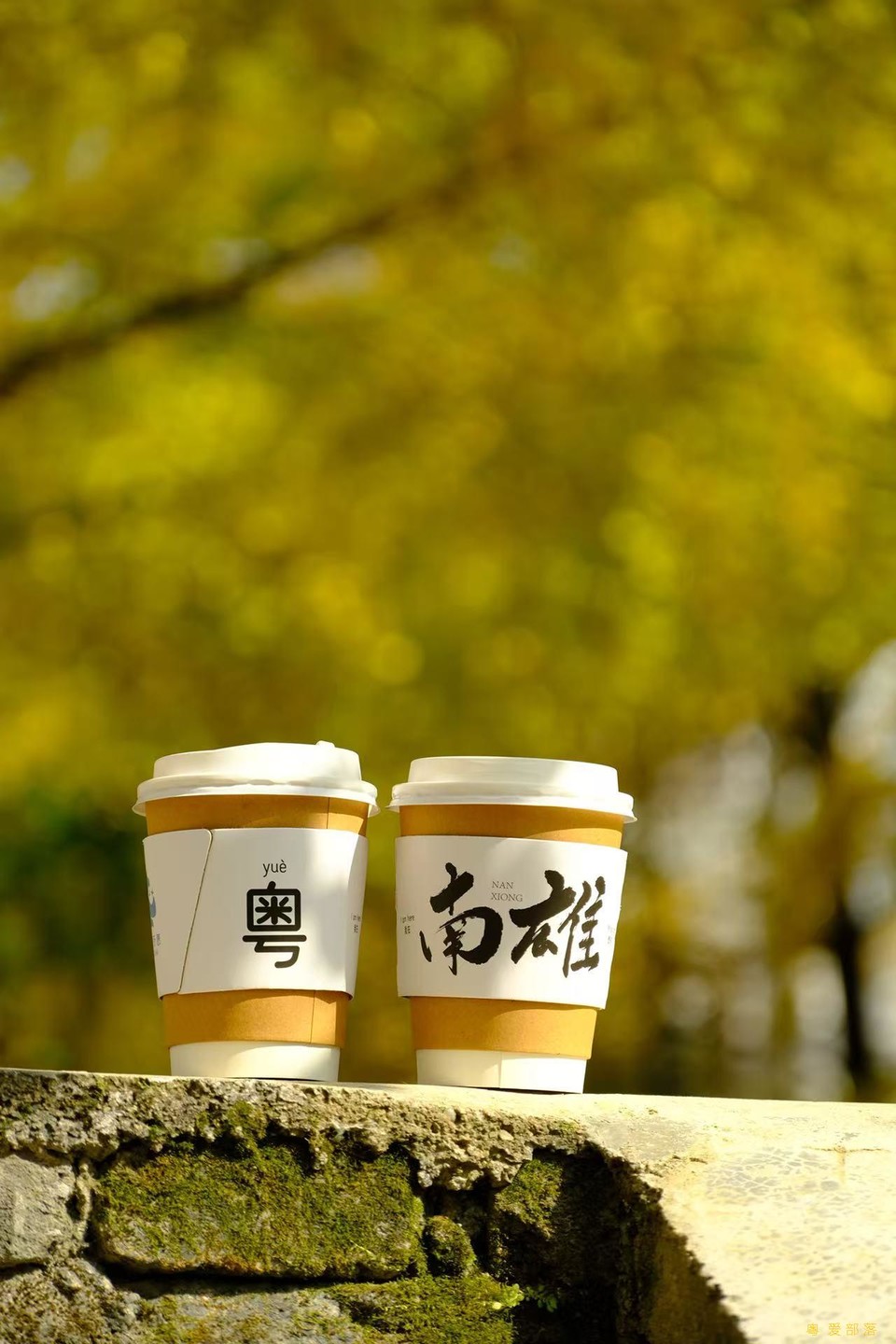 微信图片_20251211150355_2174_396