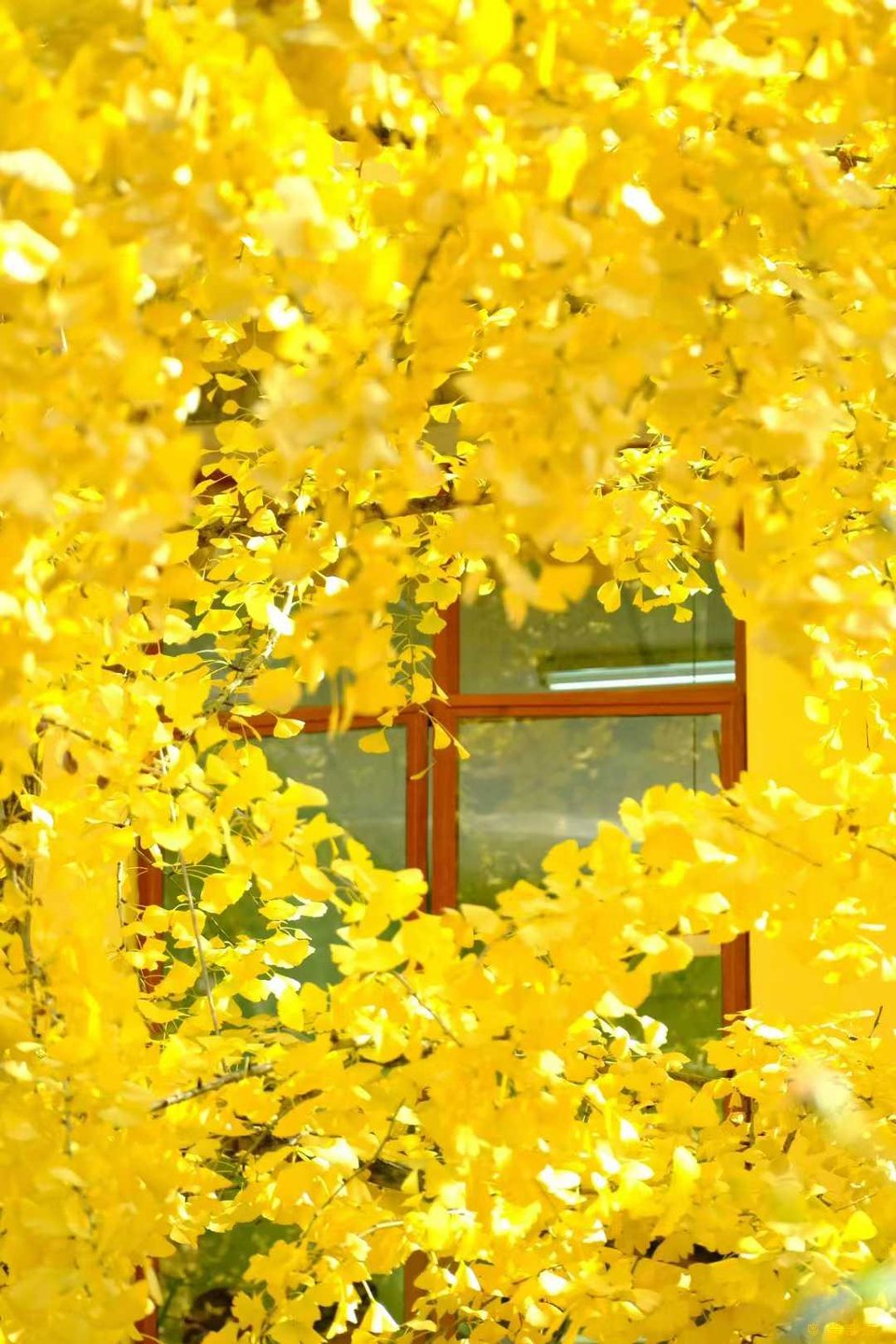 微信图片_20251211150511_2175_396