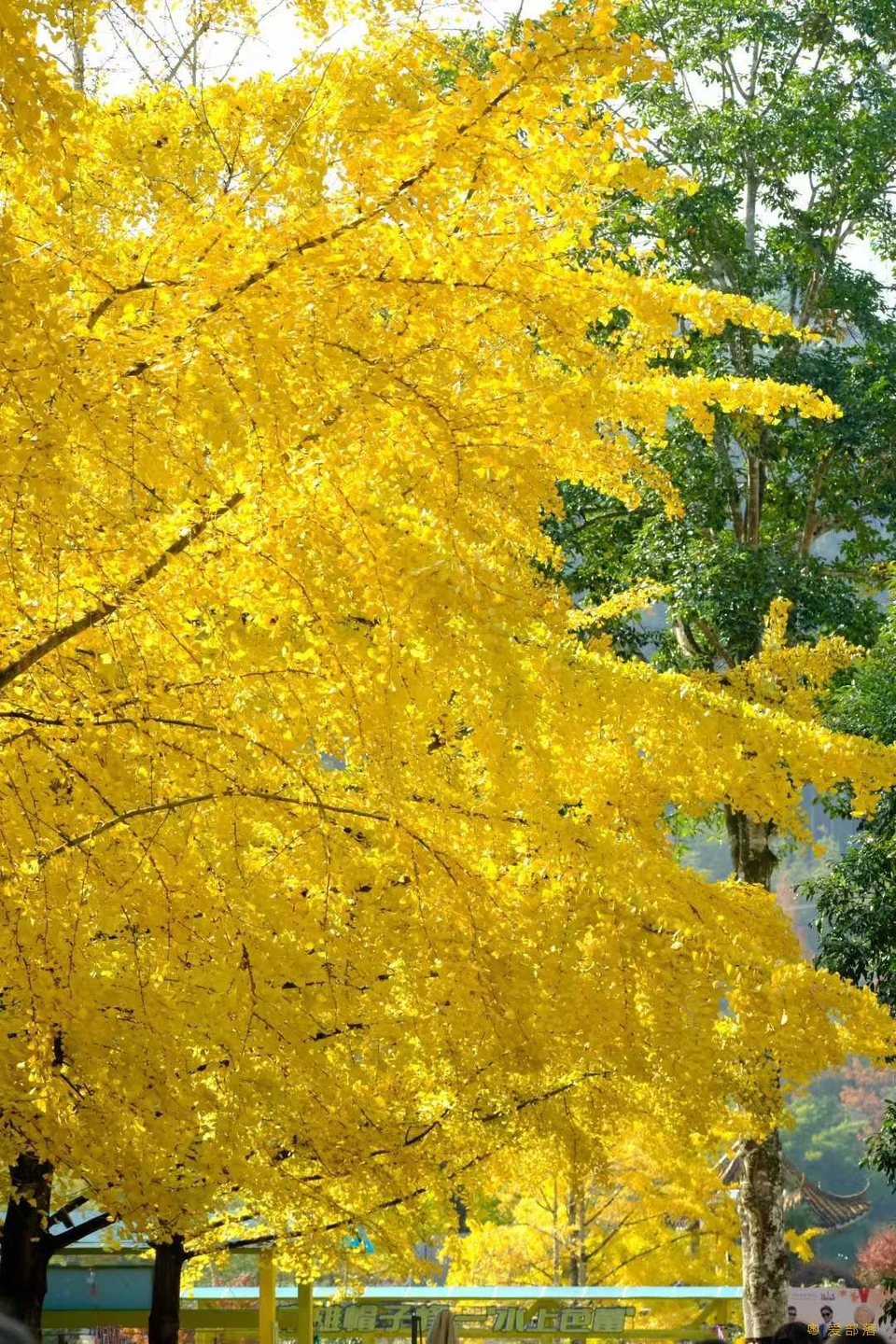 微信图片_20251211150517_2176_396