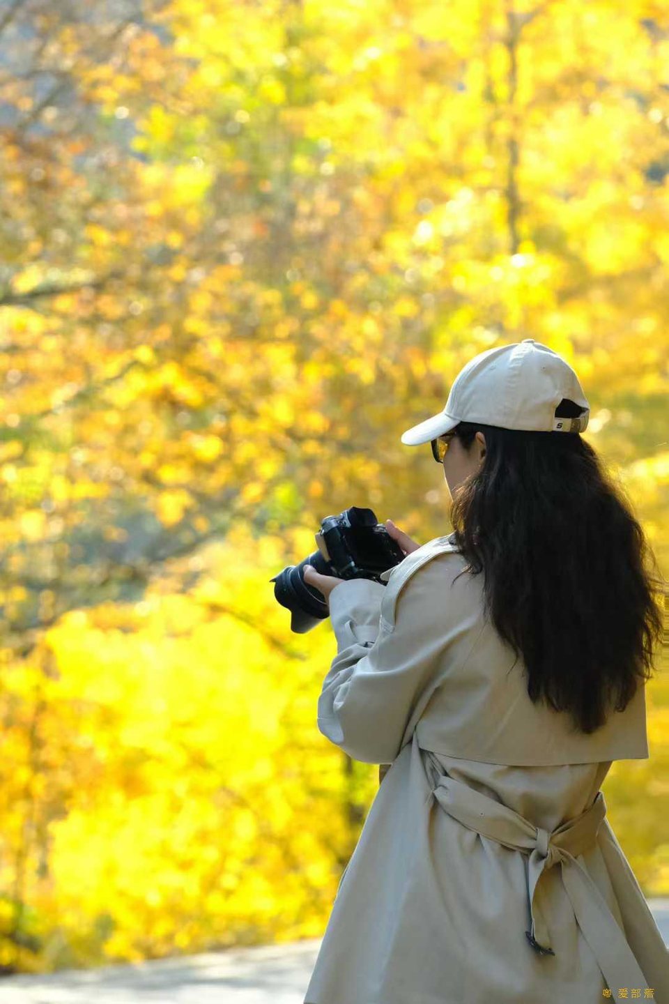 微信图片_20251211150531_2177_396