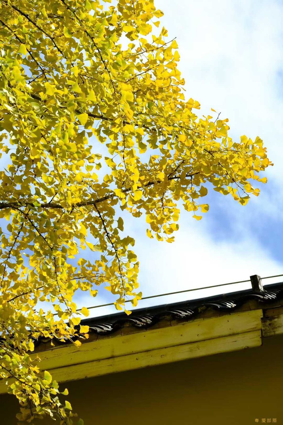 微信图片_20251211150602_2178_396