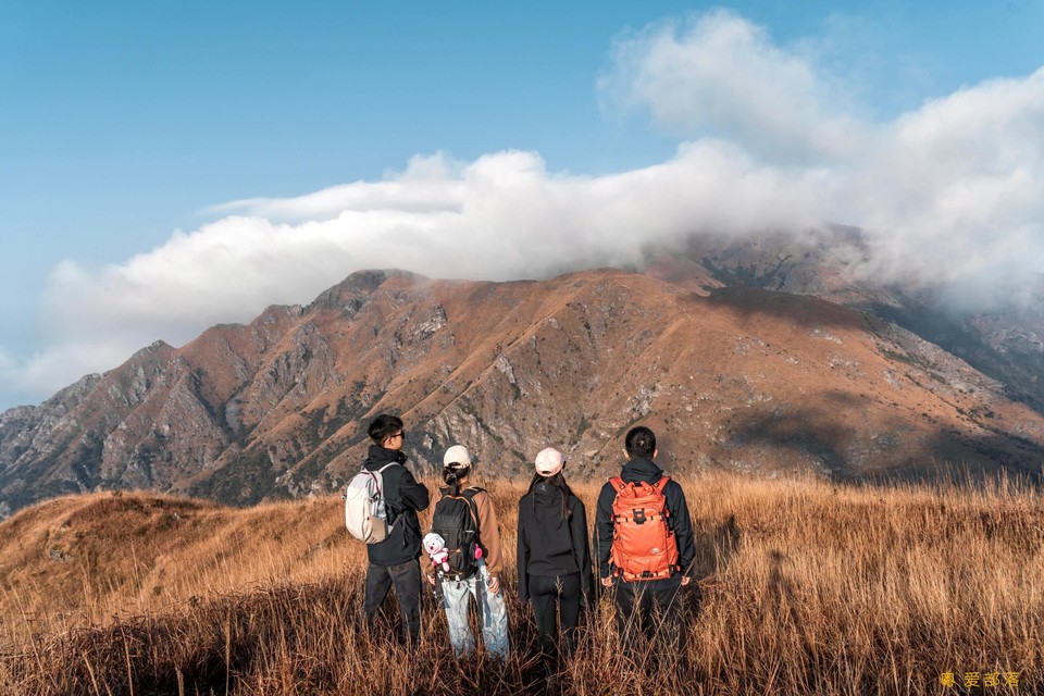 微信图片_20251211151319_2181_396