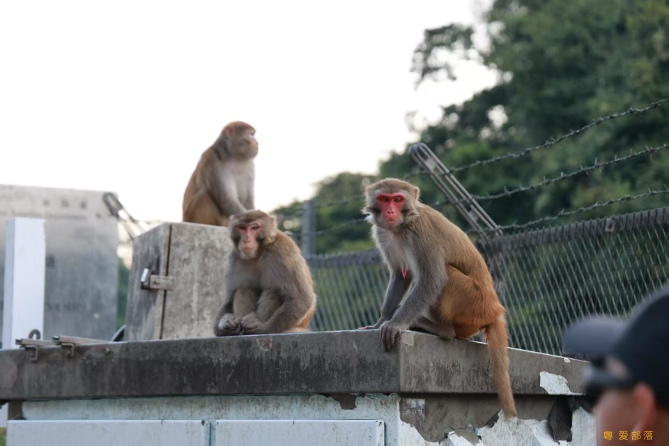 微信图片_20251211152106_2211_396