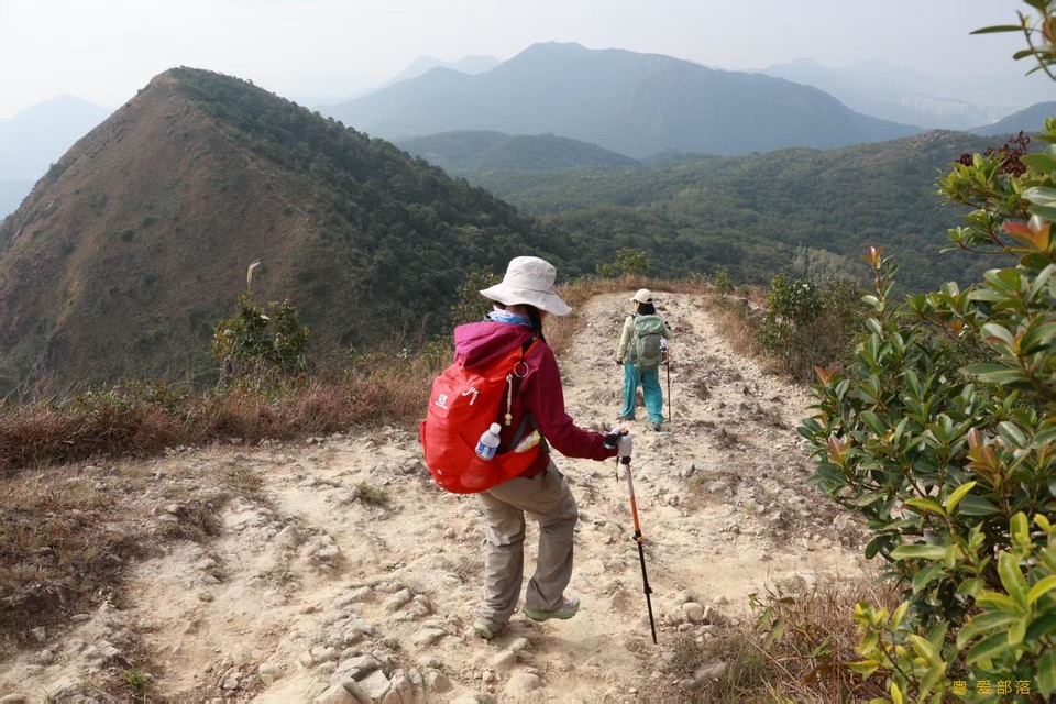 微信图片_20251211152109_2213_396