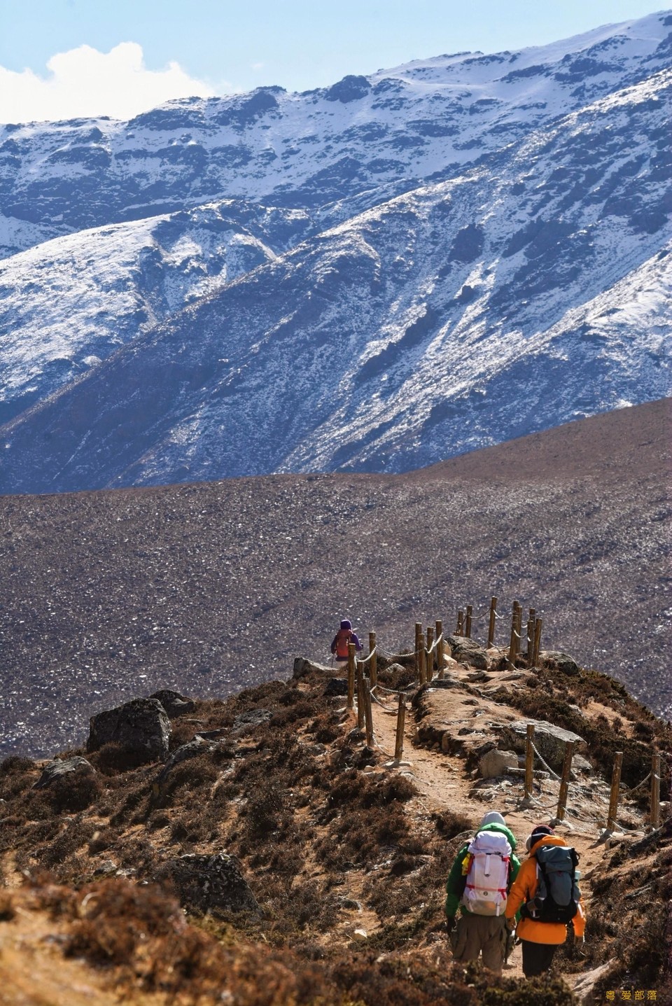 DSC_9507-opq4269139209