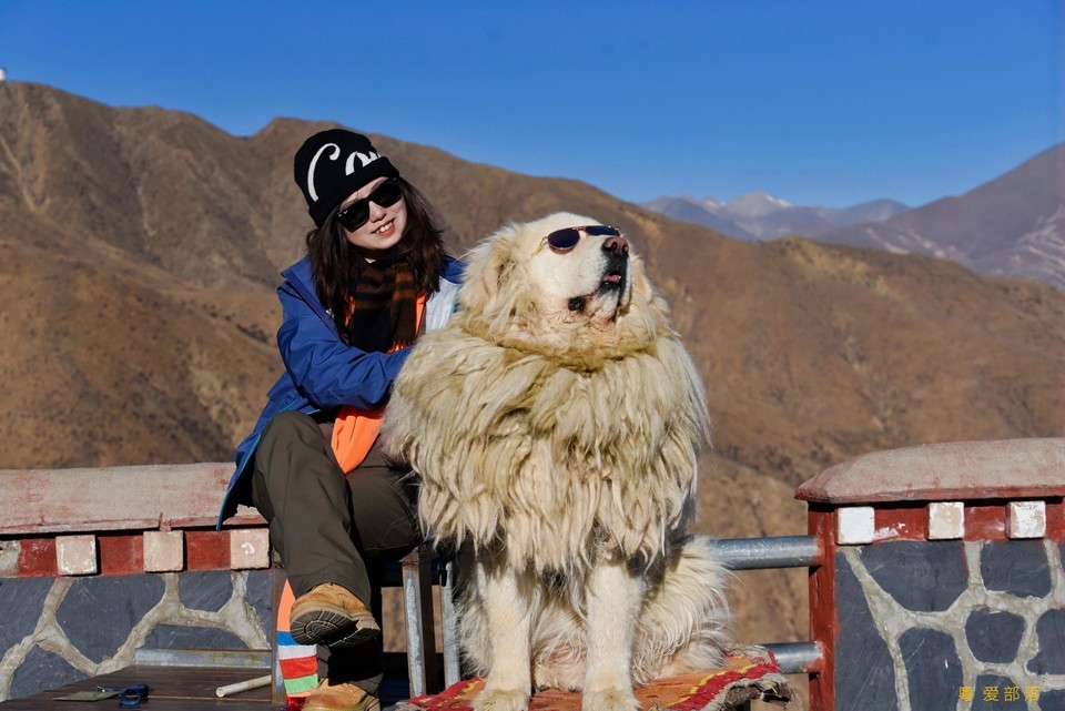 DSC_8895-opq4266266710