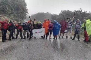 阳春三月，'友'你真好