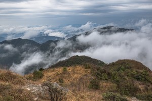 桂峰山云海