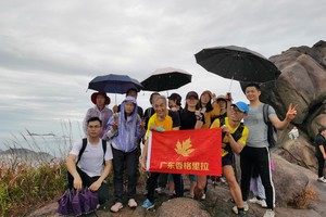 特价89元【登云髻山】11月23日走进“广东香格里拉“-新丰云髻山，赏枫叶，感受大自然的气息
