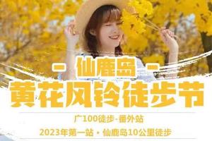 【3.19出发】“万树尽带黄金甲”3月19广100番外站•仙鹿岛黄花风铃徒步节