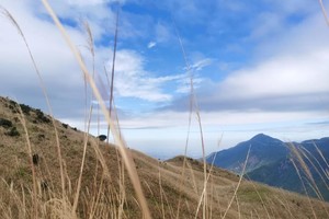 1天1夜夜登【廣東版小武功山】大南山精華線，賞高山大草坡蘆葦蕩，星空銀河，日出