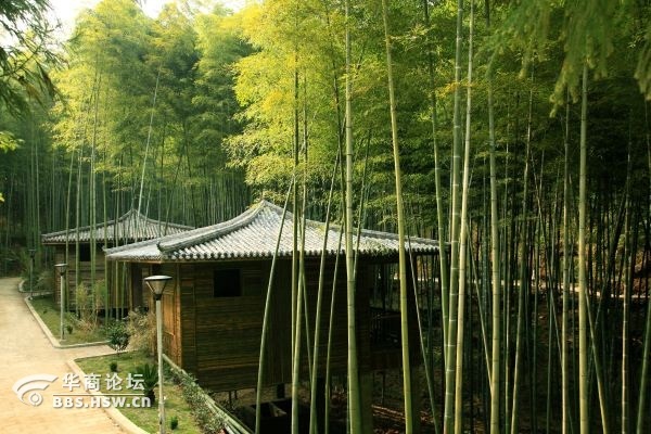 【西安年票游】周五峨城竹海-洋烈水乡-流水古镇大巴深度三日游499元