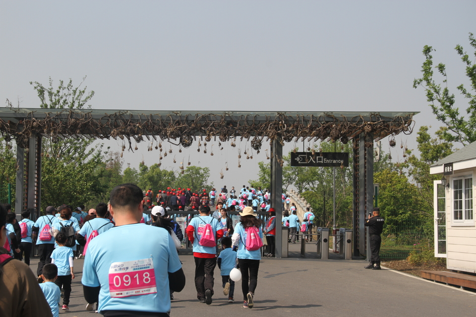 2018家庭马拉松系列赛苏中太湖园博园站 (61)