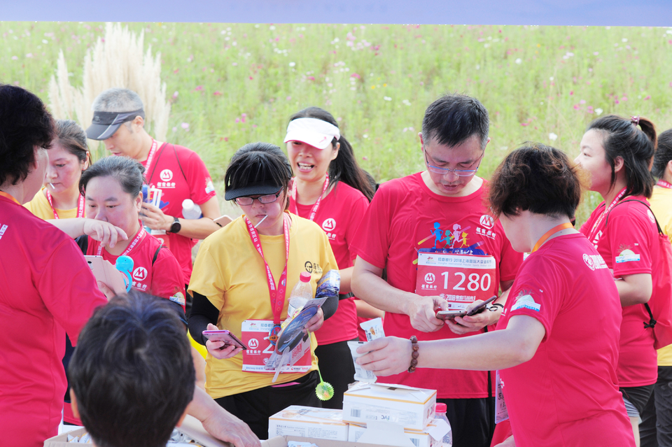 上海国际旅游度假区站41